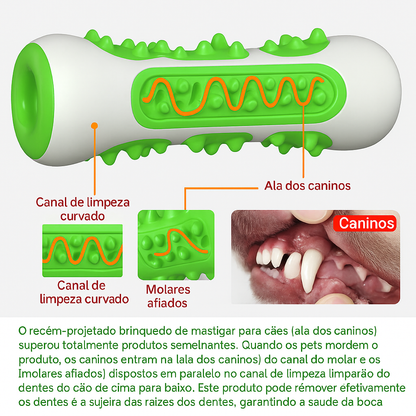Escova Brinquedo Mordedor para Cães | Saúde e Diversão