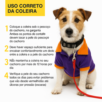 Coleira Recarregável Antilatido para Cães Pequenos