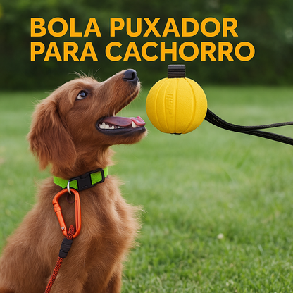 Bola Interativa para Cães com Corda – EVA Flutuante e Durável