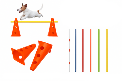 Kit Treinamento de Agilidade para Cães – Equipamento Interativo