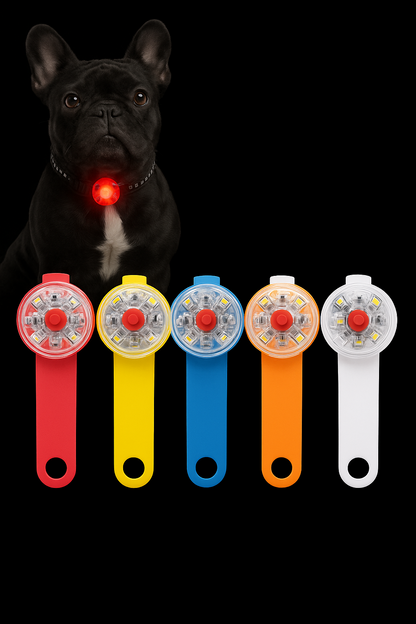 Coleira LED para Cães Anti-Perda Recarregável à Prova d'Água
