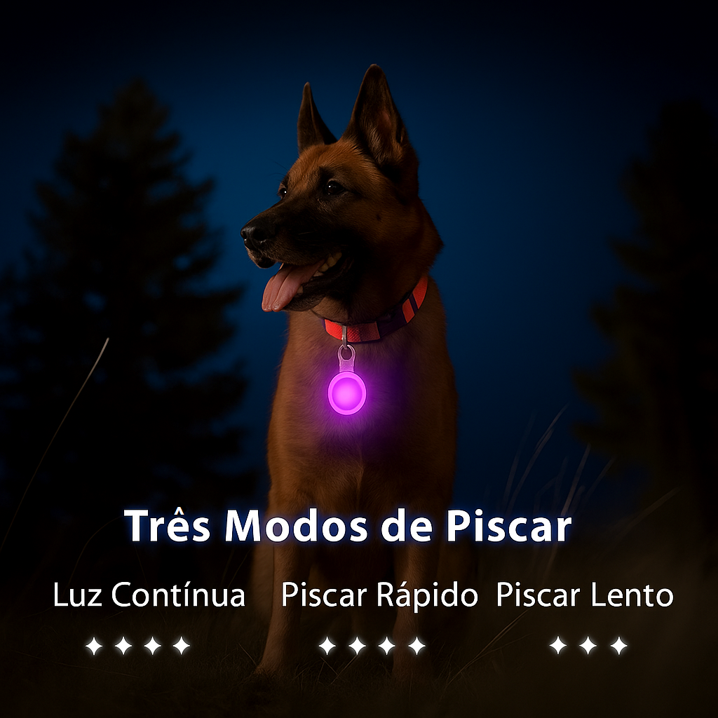Coleira Brilhante USB para Pets Pequenos – Alta Visibilidade