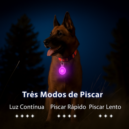 Coleira Brilhante USB para Pets Pequenos – Alta Visibilidade