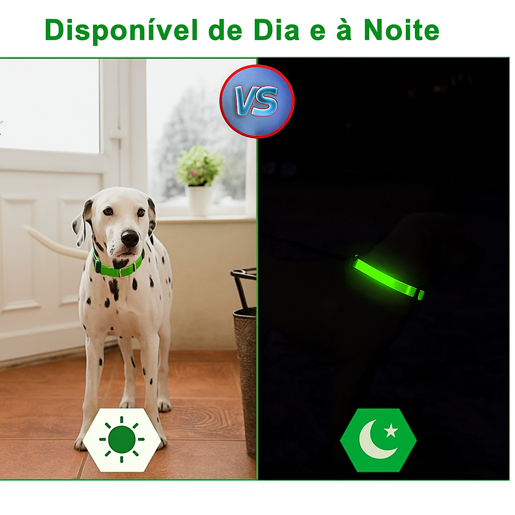 Coleira Brilhante USB para Pets Pequenos – Alta Visibilidade