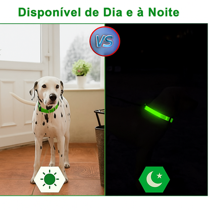 Coleira Brilhante USB para Pets Pequenos – Alta Visibilidade