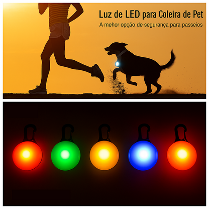 Coleira Brilhante USB para Pets Pequenos – Alta Visibilidade