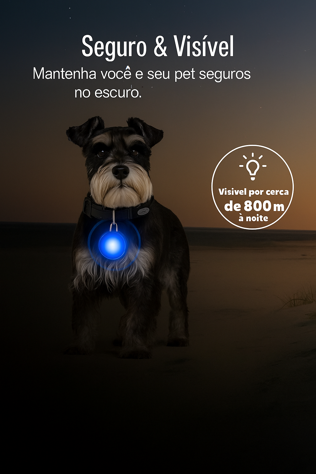 Coleira Brilhante USB para Pets Pequenos – Alta Visibilidade