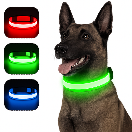 Coleira Brilhante USB para Pets Pequenos – Alta Visibilidade