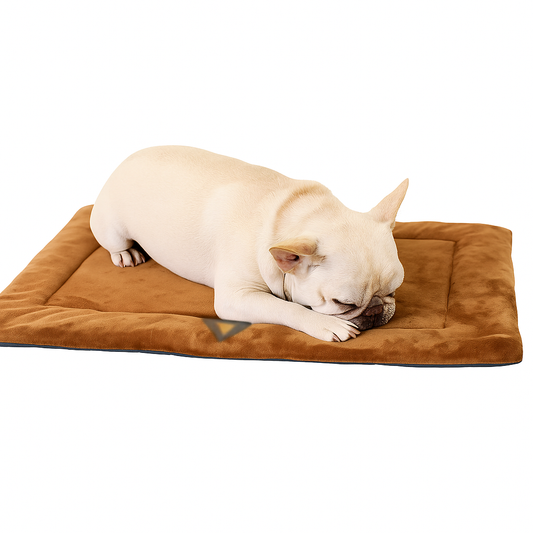 Esteira Térmica Antiderrapante para Cães e Gatos