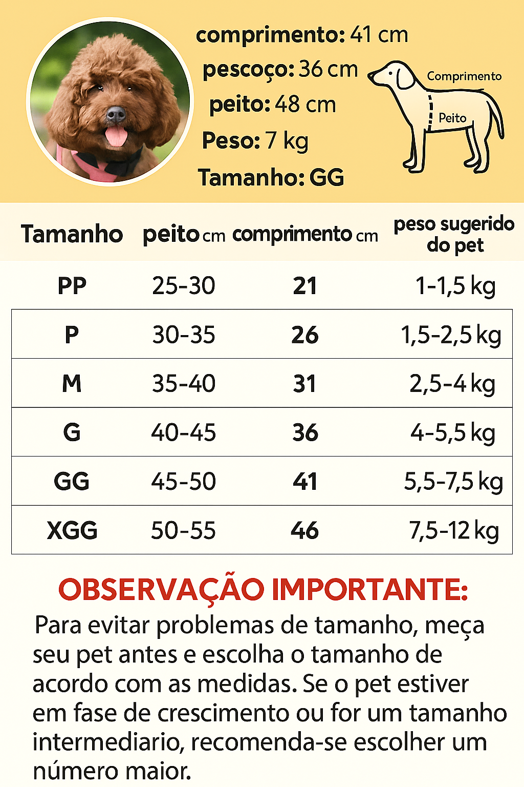 Roupinha Impermeável para Cachorro com Capuz | The Dog Face