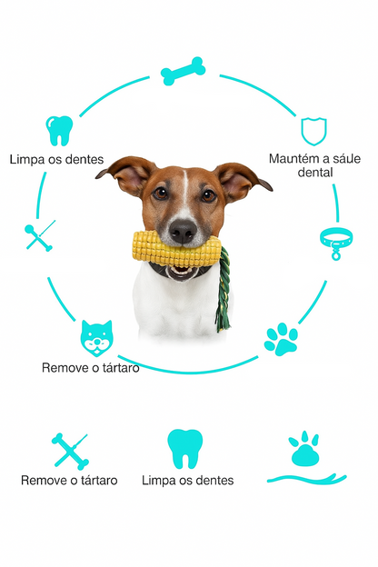 Brinquedo de Milho para Cães – Limpa Dentes e Alivia Estresse