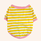 Camiseta Pet Verão para Cães Pequenos | Leve e Respirável