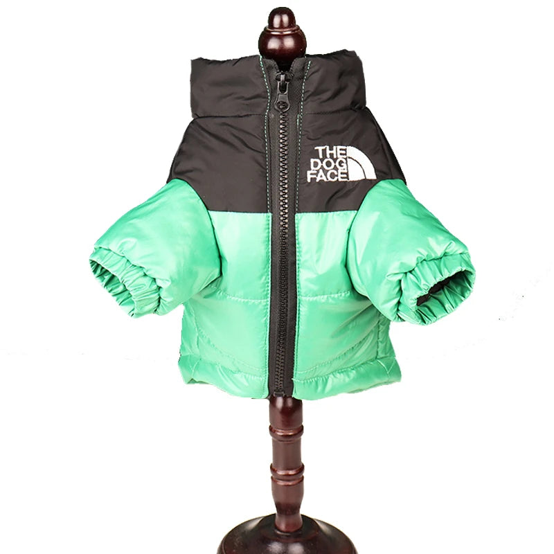 Roupas de Inverno para Cachorro: Conforto e Proteção Térmica | The Dog Face