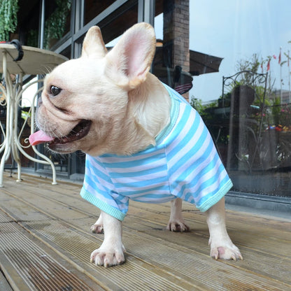 Camiseta Pet Verão para Cães Pequenos | Leve e Respirável