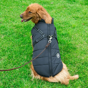 Jaqueta de Inverno p/ Cães com Arnês | Forrada e Impermeável