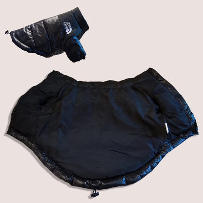 Roupas de Inverno para Cachorro: Conforto e Proteção Térmica | The Dog Face