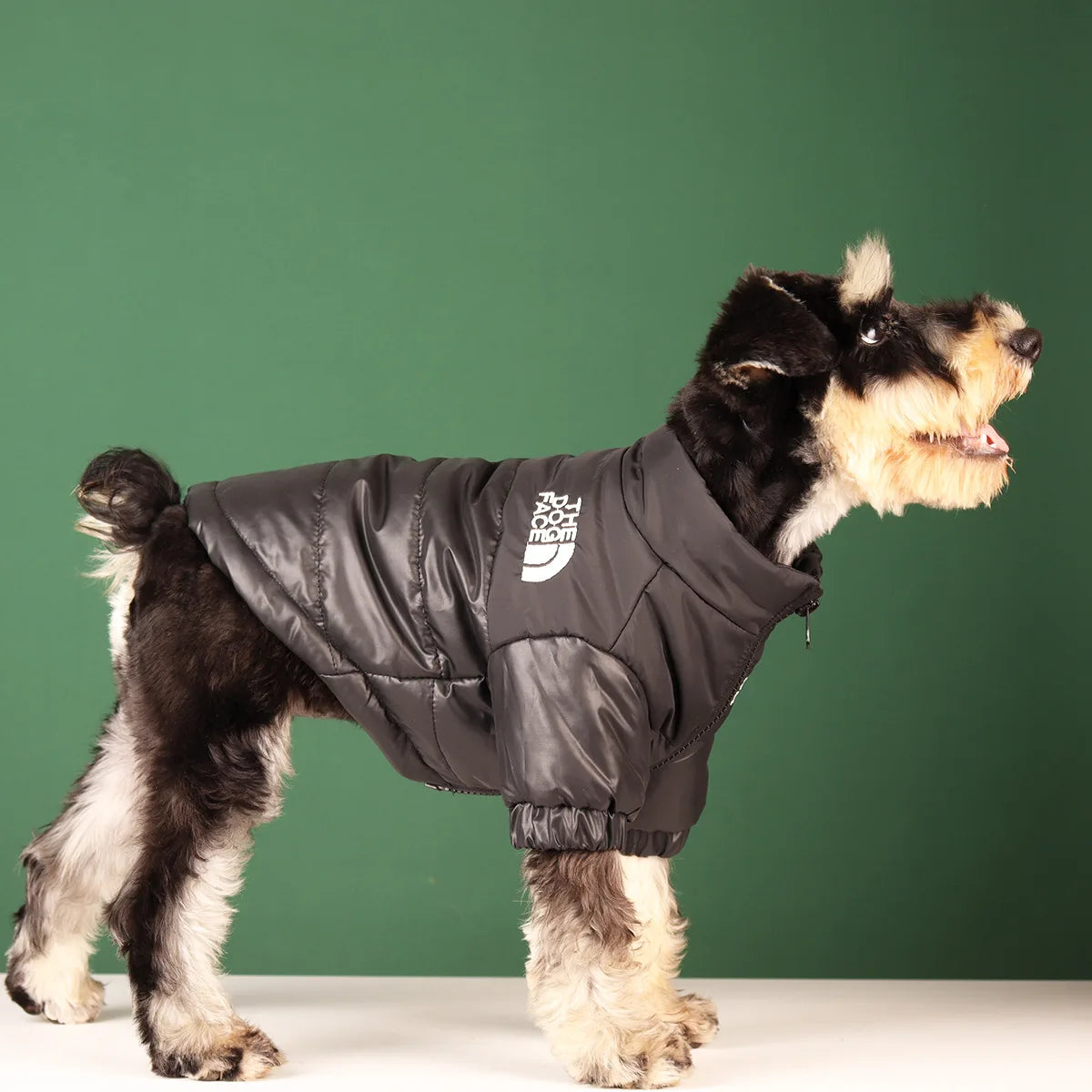 Roupas de Inverno para Cachorro: Conforto e Proteção Térmica | The Dog Face