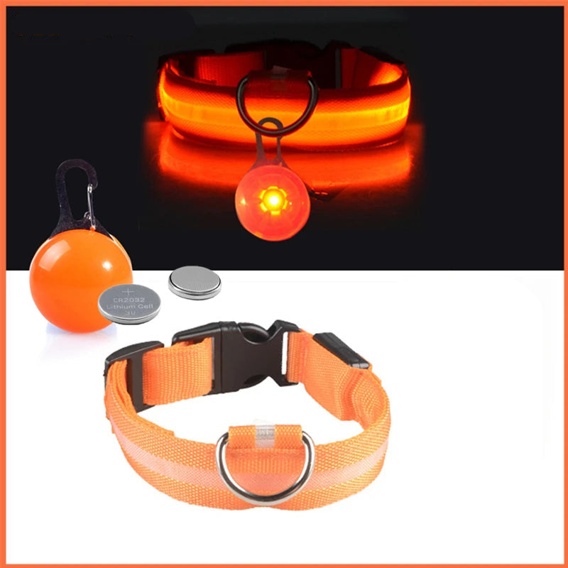 Coleira Brilhante USB para Pets Pequenos – Alta Visibilidade