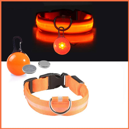 Coleira Brilhante USB para Pets Pequenos – Alta Visibilidade