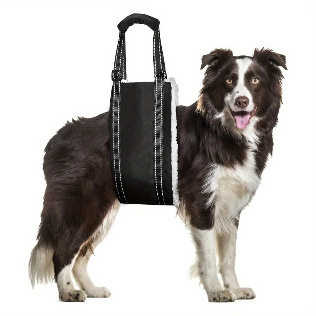 Cinto de Assistência para Caminhada de Cães e Gatos