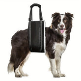 Cinto de Assistência para Caminhada de Cães e Gatos