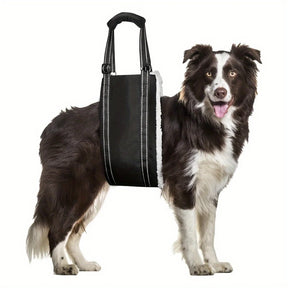 Cinto de Assistência para Caminhada de Cães e Gatos