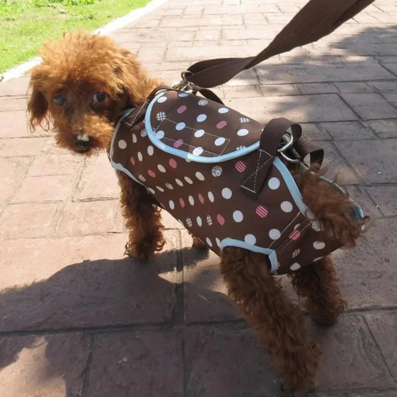 Mochila Multifuncional para Cães – Conforto e Segurança
