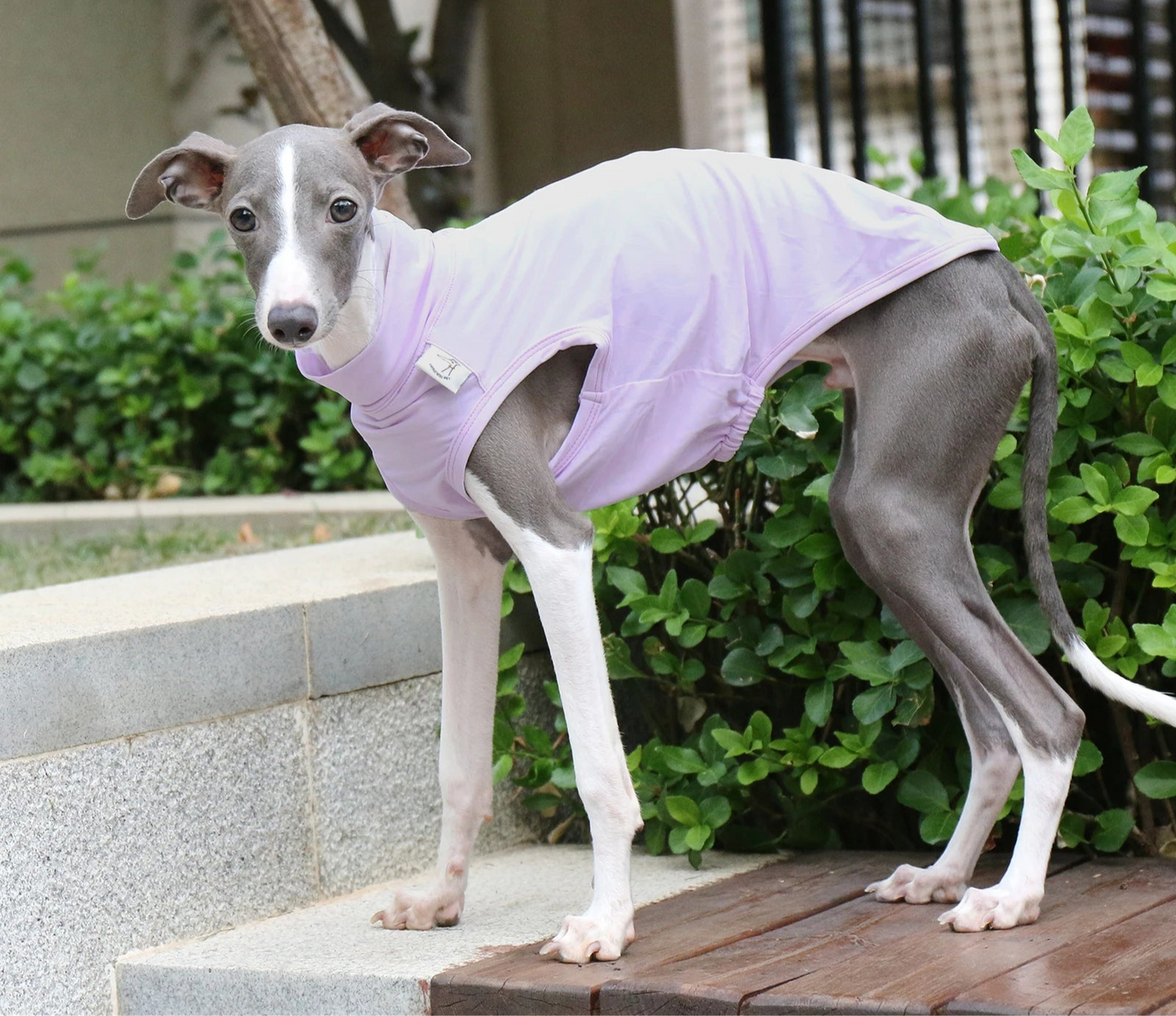 Colete Refrescante p/ Cães - Respirável, Anatômico e com proteção UV