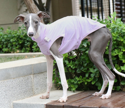 Colete Refrescante p/ Cães - Respirável, Anatômico e com proteção UV