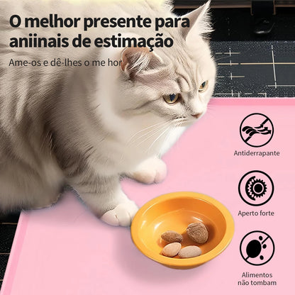Tapete de Silicone para Pets – Antiaderente, Flexível e Fácil de Limpar