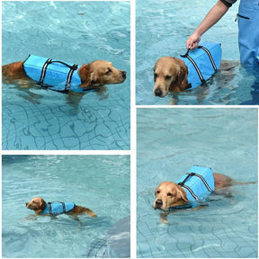 Colete Salva-Vidas para Cães com Alça, Refletivo e Ajustável