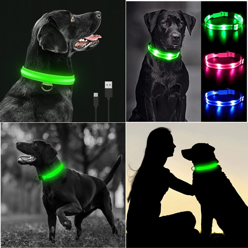 Coleira Brilhante USB para Pets Pequenos – Alta Visibilidade