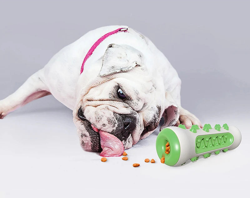 Escova Brinquedo Mordedor para Cães | Saúde e Diversão