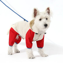 Jaqueta Impermeável Térmica para Cachorro - Conforto e Proteção