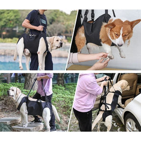 Arnês de Elevação para Cães Grandes | Suporte e Conforto