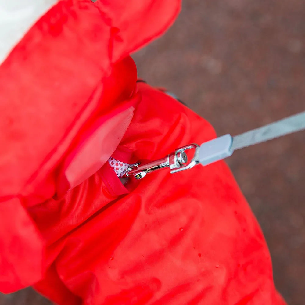 Capa de Chuva p/ Pet com Capuz | Estilo Urso/Abelha/Dino