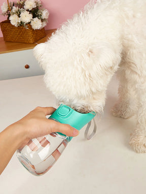 Garrafa Portátil para Cães | Antivazamento e Leve