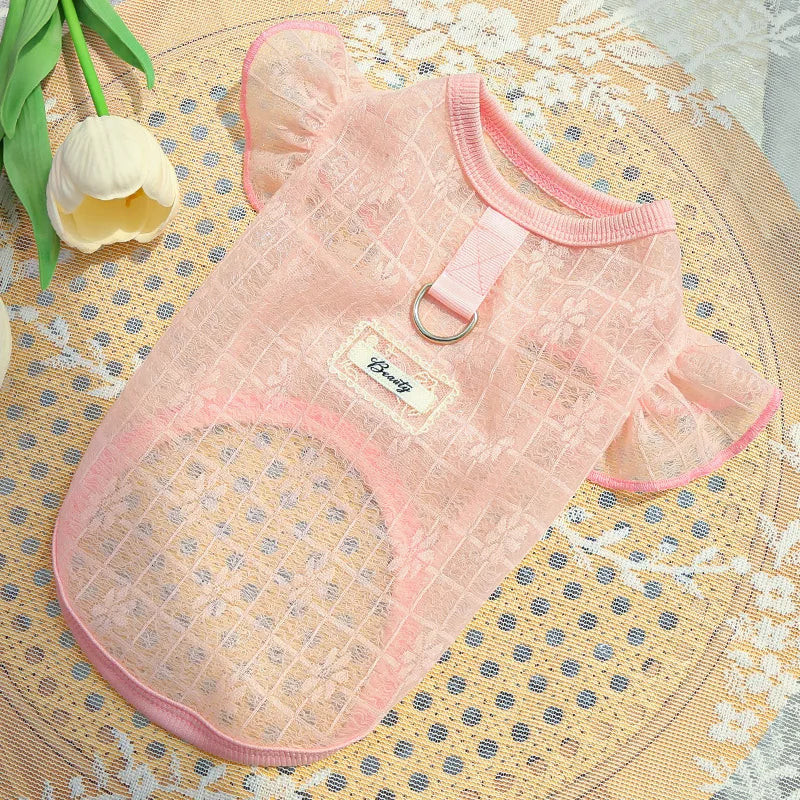 Colete Refrescante para Cães | Leve, Fresco e Estiloso