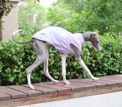Colete Refrescante p/ Cães - Respirável, Anatômico e com proteção UV
