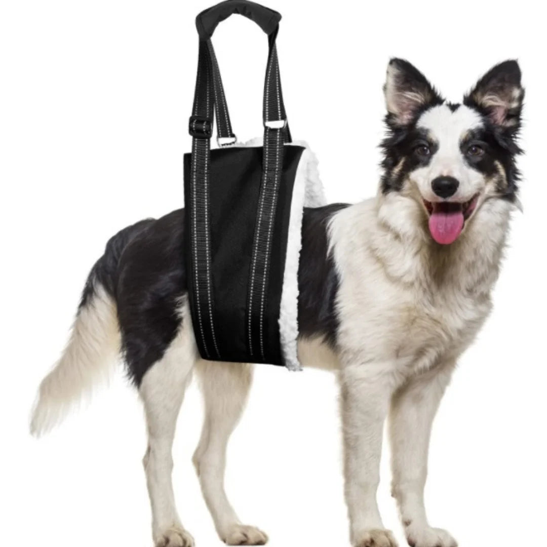 Cinto de Assistência para Caminhada de Cães e Gatos