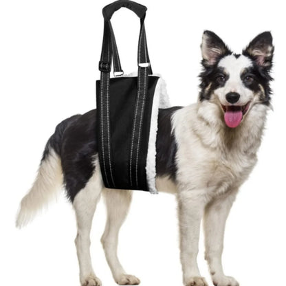 Cinto de Assistência para Caminhada de Cães e Gatos