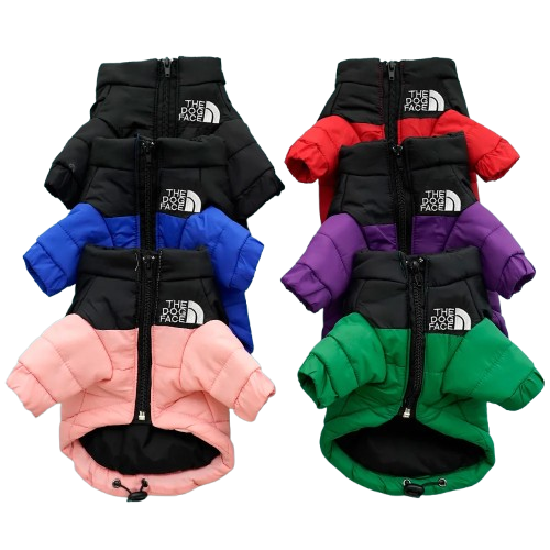 Jaqueta Pet The Dog Face | Quentinha e à Prova de Vento