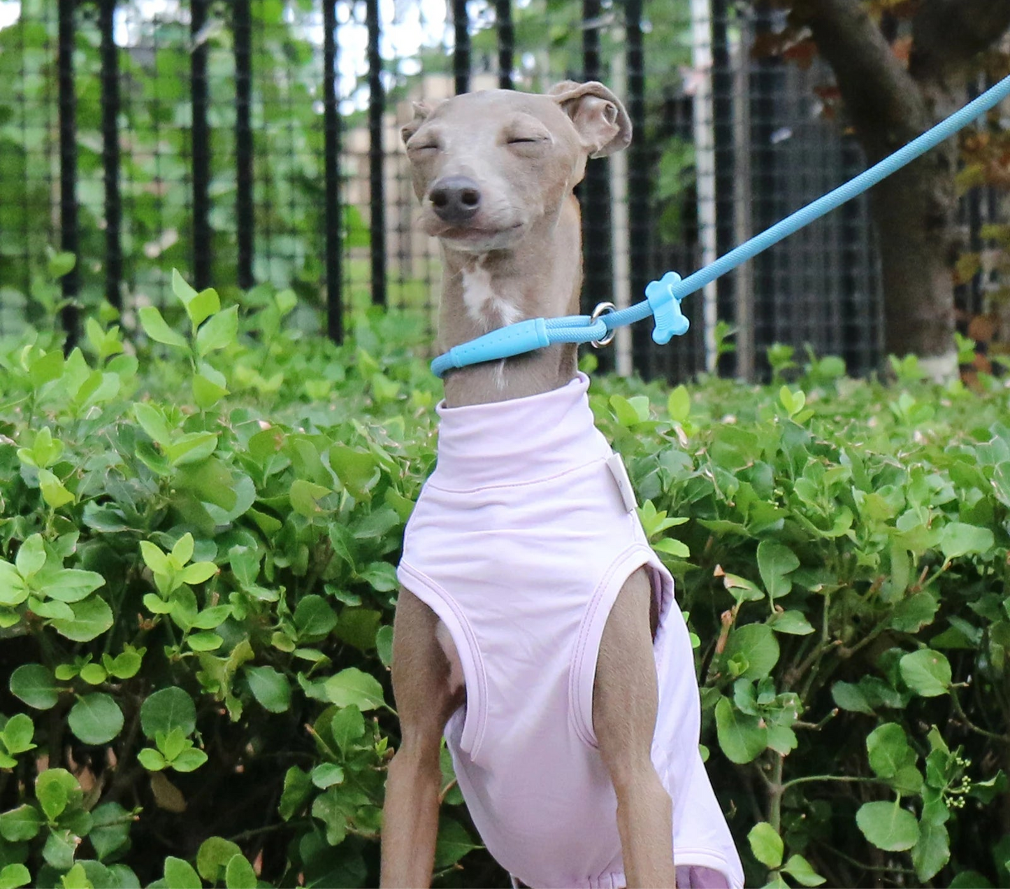 Colete Refrescante p/ Cães - Respirável, Anatômico e com proteção UV
