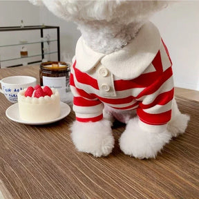 Camisa Refrescante com UV p/ Cães | Antipulgas e Estilo
