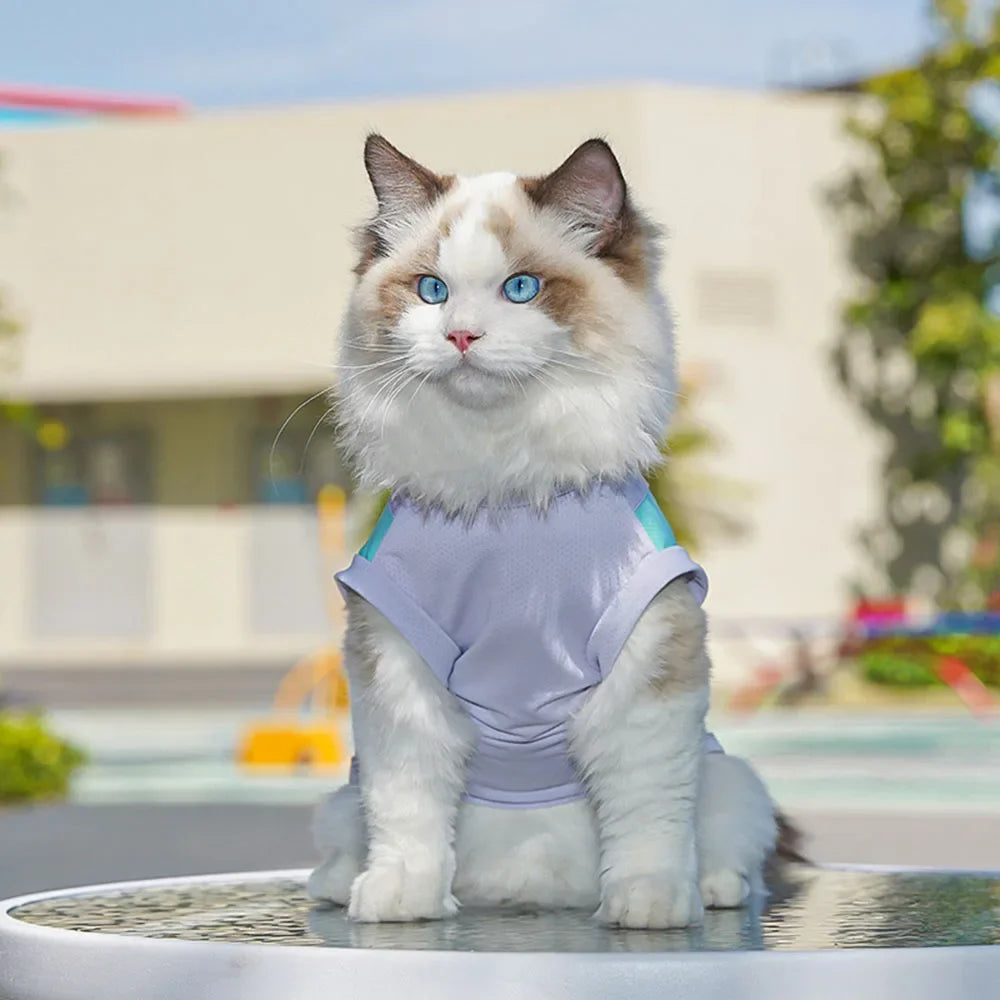 Colete Refrescante Pet com Proteção Solar e Alça D