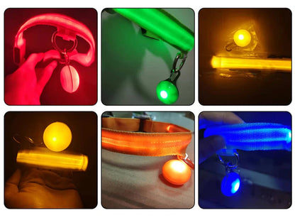 Coleira Brilhante USB para Pets Pequenos – Alta Visibilidade