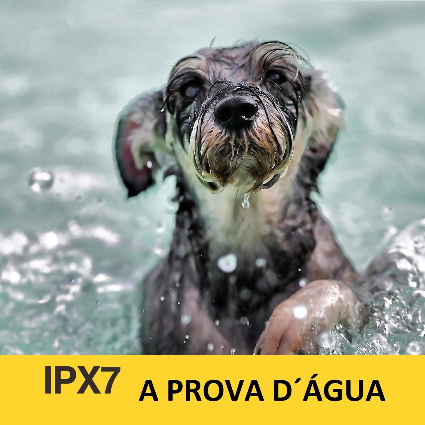 Coleira Recarregável Antilatido para Cães Pequenos