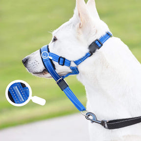 Focinheira para Cães Antipuxão – Treinamento e Segurança