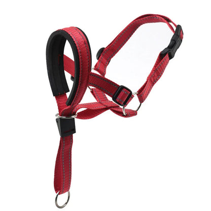 Focinheira para Cães Antipuxão – Treinamento e Segurança