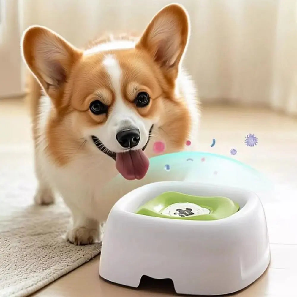 💧 Tigela Flutuante Antiborrifo 1500ml para Gatos e Cães